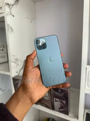 Apple iPhone 12 Pro 256 GB Gray