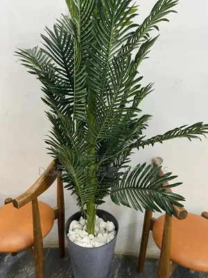The Indoor Jungle Starter Pack