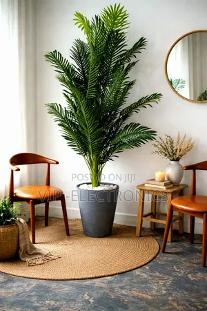 Elegant Indoor Palm Plant – Modern Home Garden Decoration