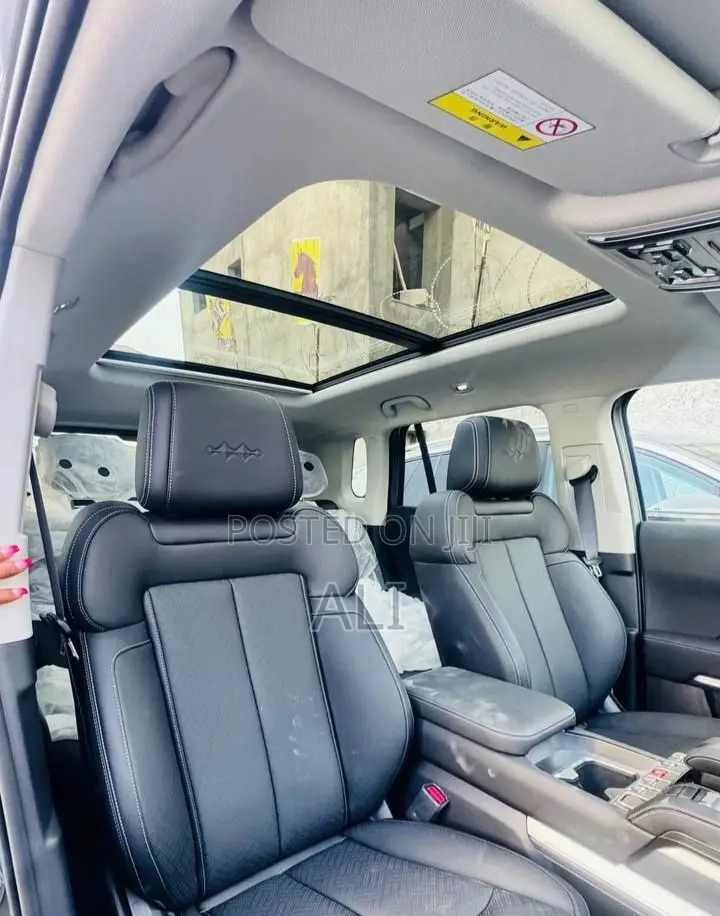 New BYD Leopard 3 2025 Gray