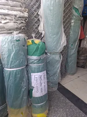 Building Covering Mesh