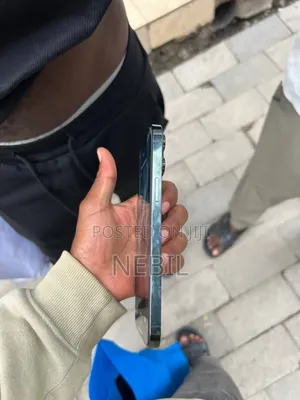 New Apple iPhone 13 Pro Max 128 GB Green