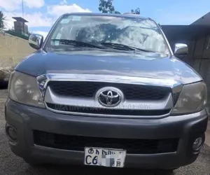 Toyota Hilux 2010 Beige
