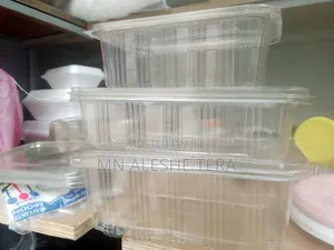 Plastic Takeaway Box