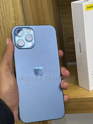 Apple iPhone 12 Pro Max 256 GB Blue