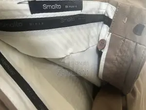 Men’S Smalto Trouser, Beige Color.