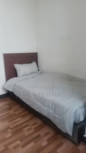 Furnished 3bdrm Apartment in Luxury Apartments, Yeka for rent