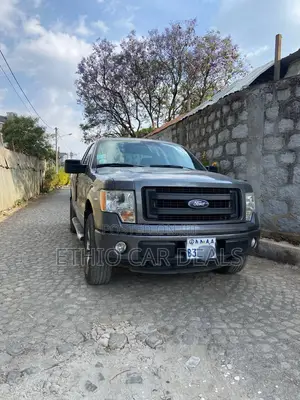 Ford F-150 2014 Gray