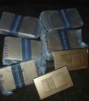 Switch and Socket