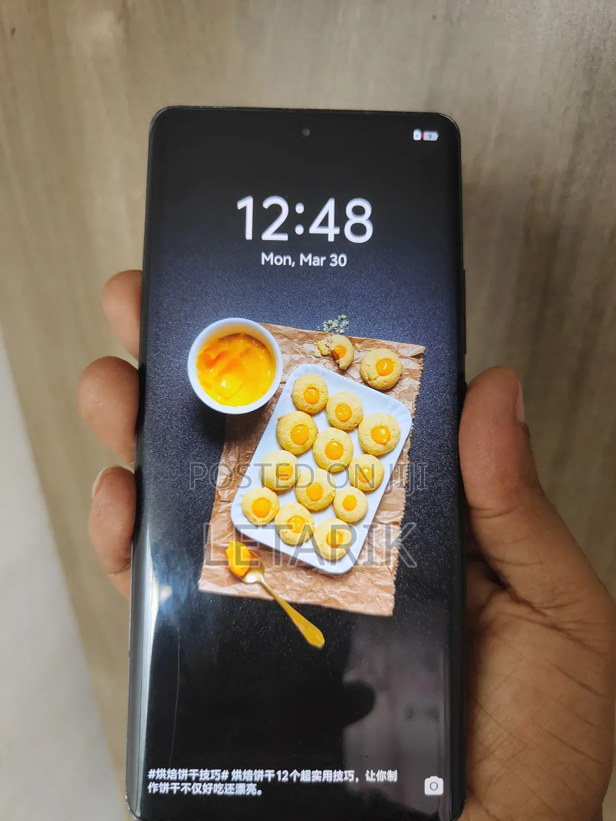 Vivo X70 Pro 256 GB Black