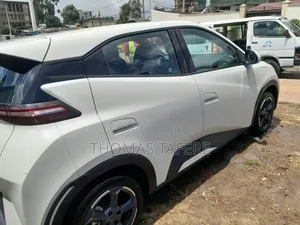 BYD Seagull 2024 White