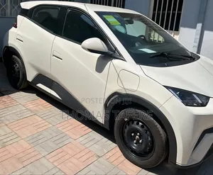 BYD Seagull 2024 White