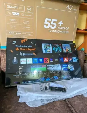 Skyworth 55 Inch Tv