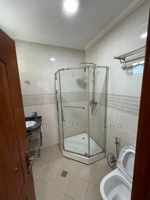 Furnished 3bdrm Apartment in Bole for sale