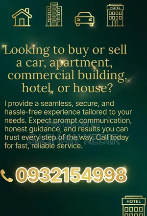 Real Estate and Car Sales Agent