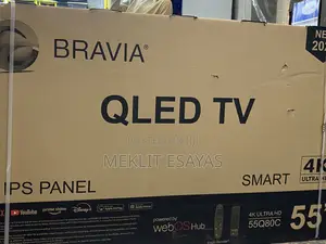 Bravia Television