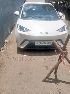 BYD Seagull 2025