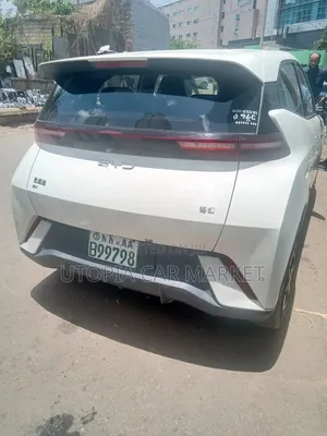 BYD Seagull 2025