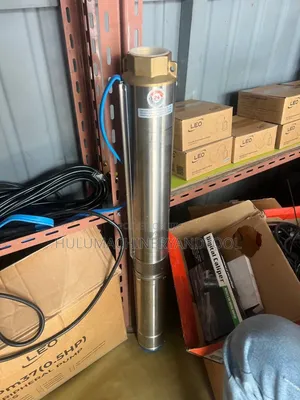 Leo Stainless Steel Submersible Borehole Water Pump
