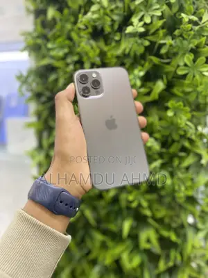 Apple iPhone 12 Pro Max 256 GB