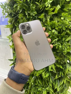 Apple iPhone 12 Pro Max 256 GB