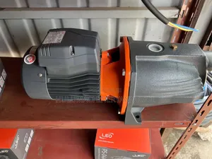 Leo Ajm110 Self-Priming Jet Water Pump