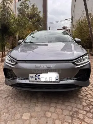 BYD E2 43 kWh 94 hp FWD 2024 Gray