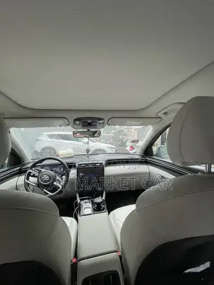 Hyundai Tucson Limited 2023 Gray