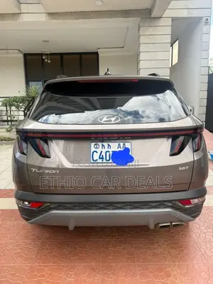 Hyundai Tucson 2023 Brown