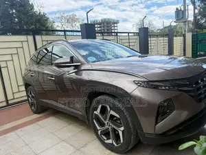 Hyundai Tucson 2023 Brown
