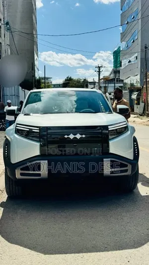 New BYD Leopard 3 2025 Gray