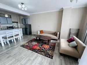 Furnished 2bdrm Apartment in Bole for rent