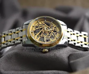Tevise Luxury Men's Watch, Featuring A Skeletons Mechanical Automatic