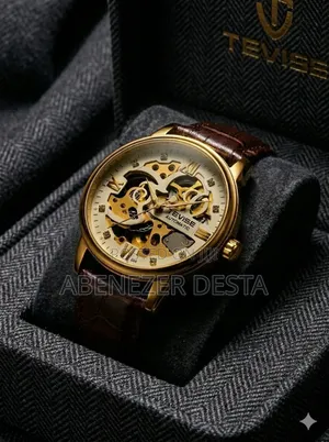 Tevise T869 Men's Automatic Mechanical Skeleton Watch Featuring