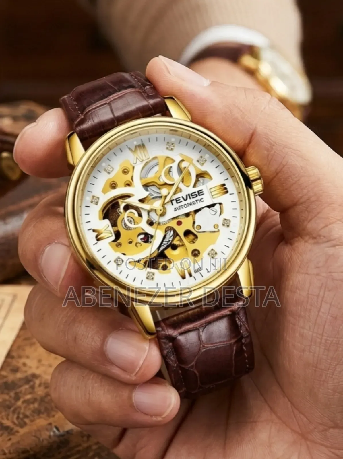 Tevise T869 Men's Automatic Mechanical Skeleton Watch Featuring