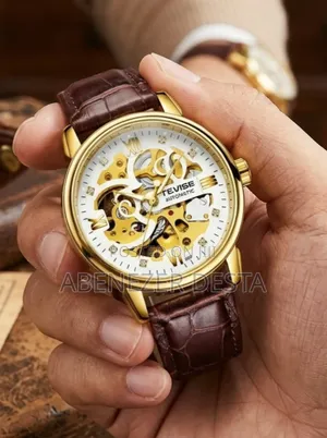 Tevise T869 Men's Automatic Mechanical Skeleton Watch Featuring