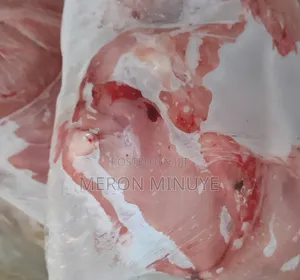 Fresh Chicken