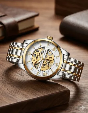 Tevise T9005a Automatic Mechanical Watch Featuring a Gold and Silver