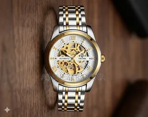 Tevise T9005a Automatic Mechanical Watch Featuring a Gold and Silver