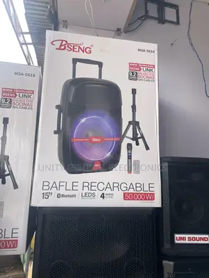 Bseng 15” Speaker