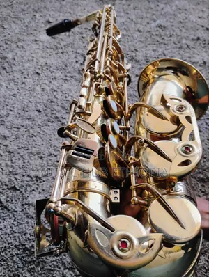 Sky Usa Alto Saxophone