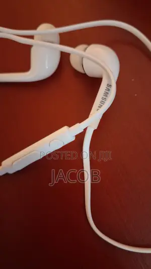 Samsung Earphone