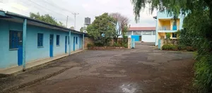 የሚሸጥም የሚከራይም መጋዝን ለፋብሪካ