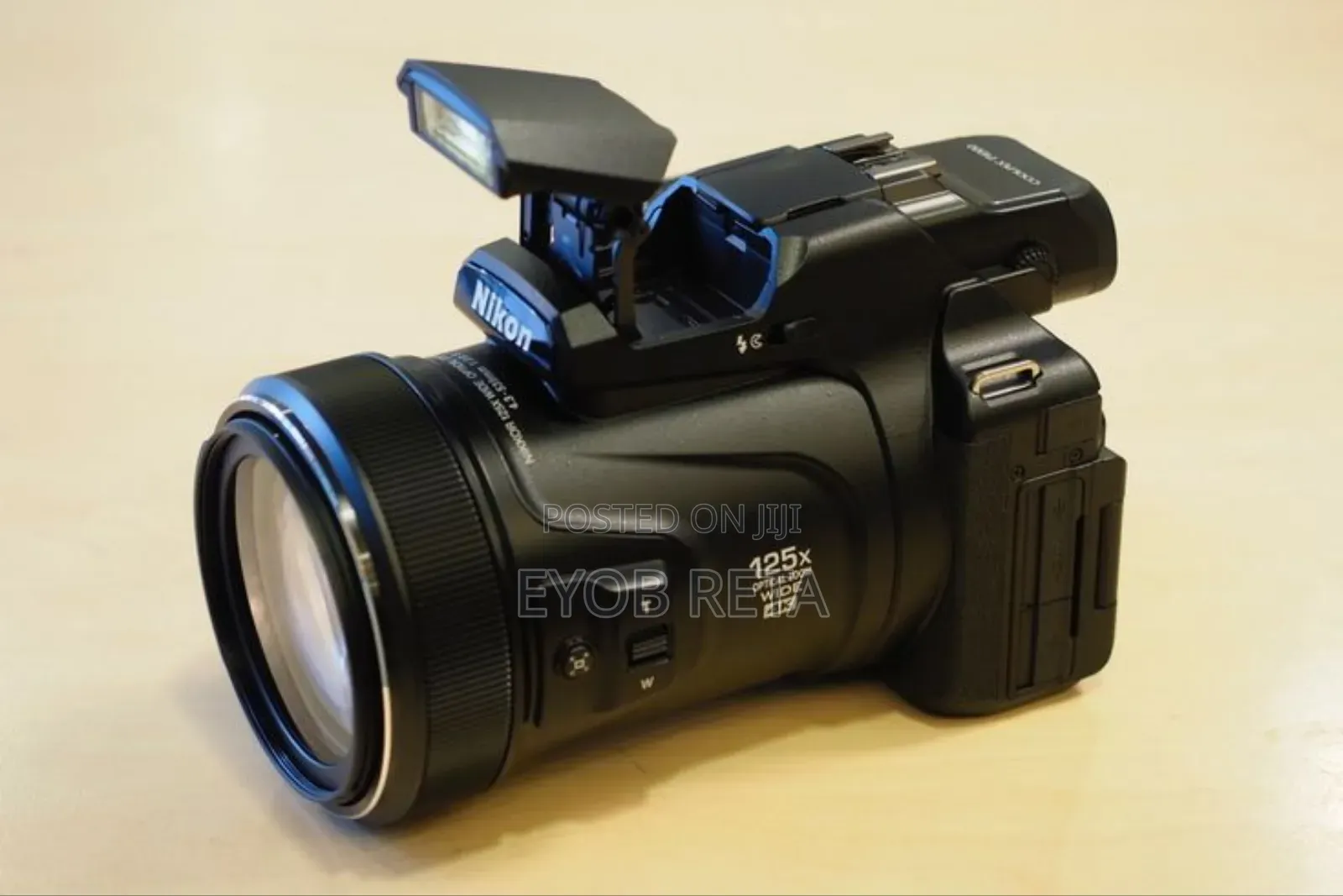 Nikon Coolpix 1000 Super Zoom