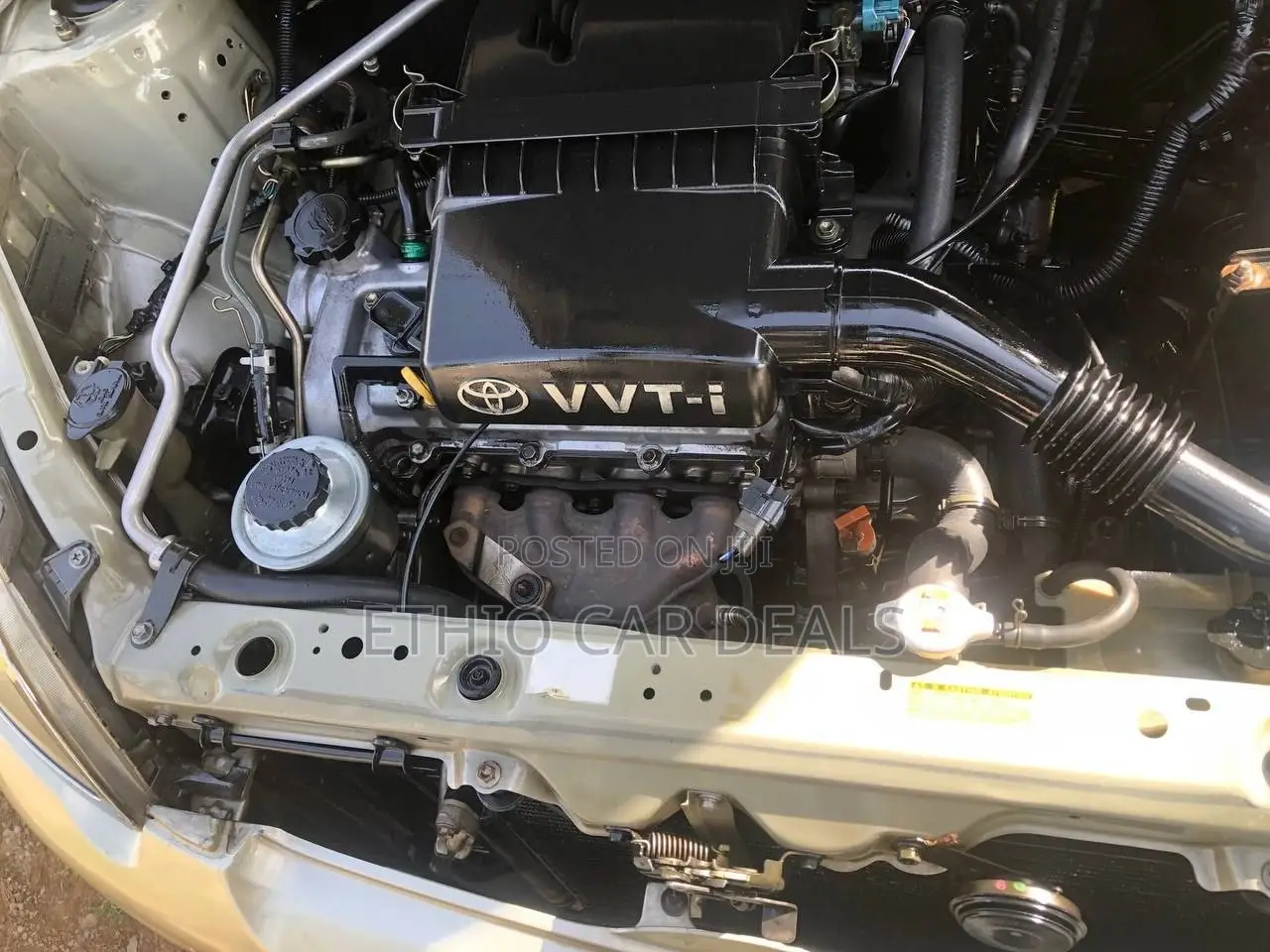 Toyota Vitz 2002 Gold