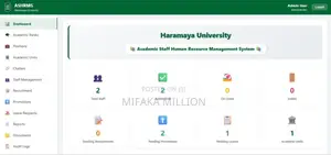 Professional Web Development Services (Fast Affordable)