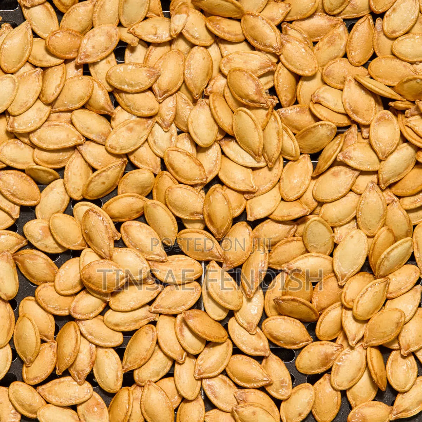Pumpkin Seed