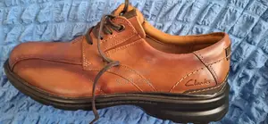 Men's Shoes: Clark