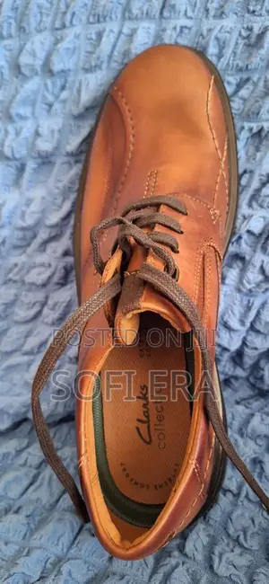 Men's Shoes: Clark