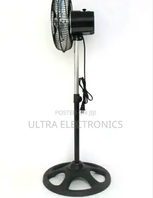 Fan Black Pedestal Standing Fan With A Circular